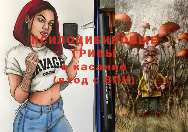 дмт Абаза