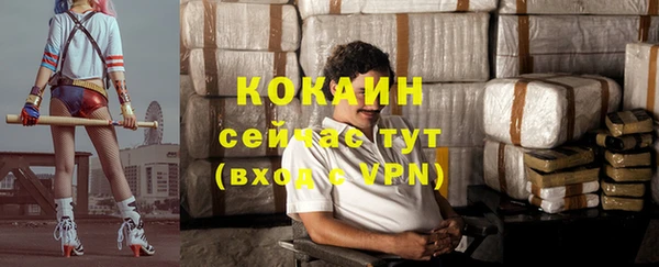 дмт Абаза