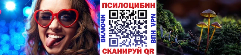 Галлюциногенные грибы прущие грибы  где найти   Тетюши 